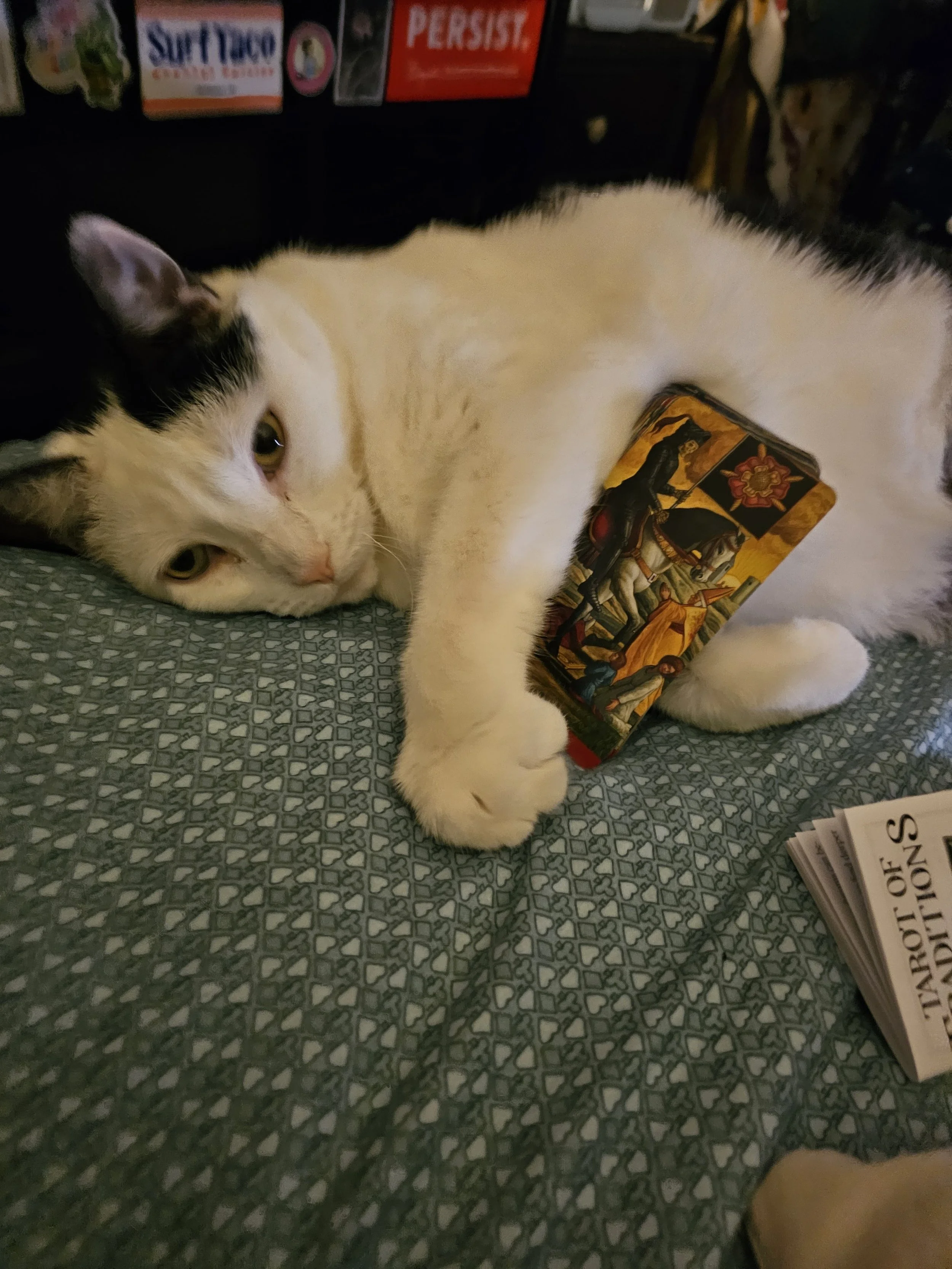 Group Tarot Readings