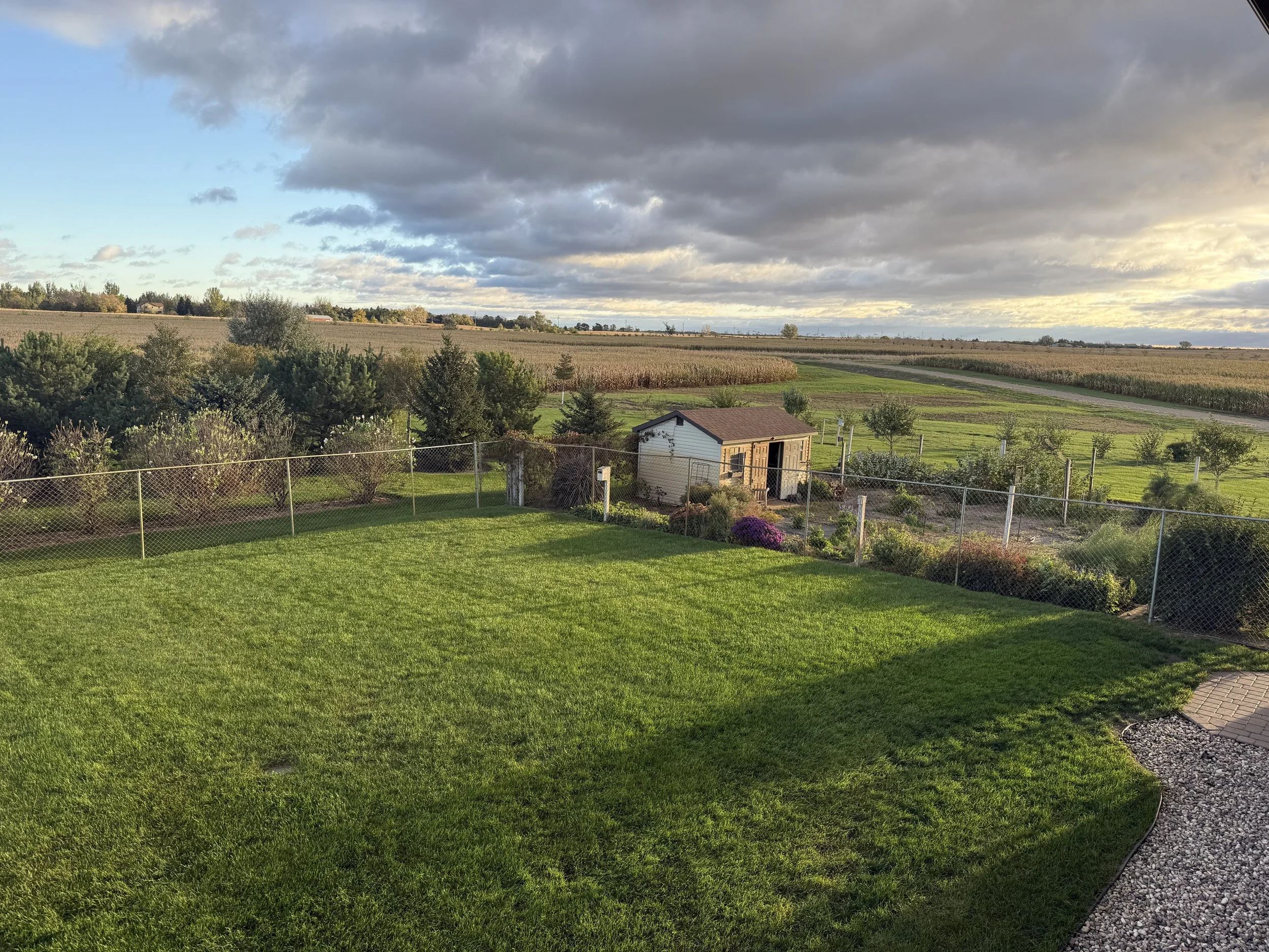 A backyard with green grass, a small shed, a flower garden, and a chain-link fence. Beyond the yard are fields and a cloudy sky at sunset.