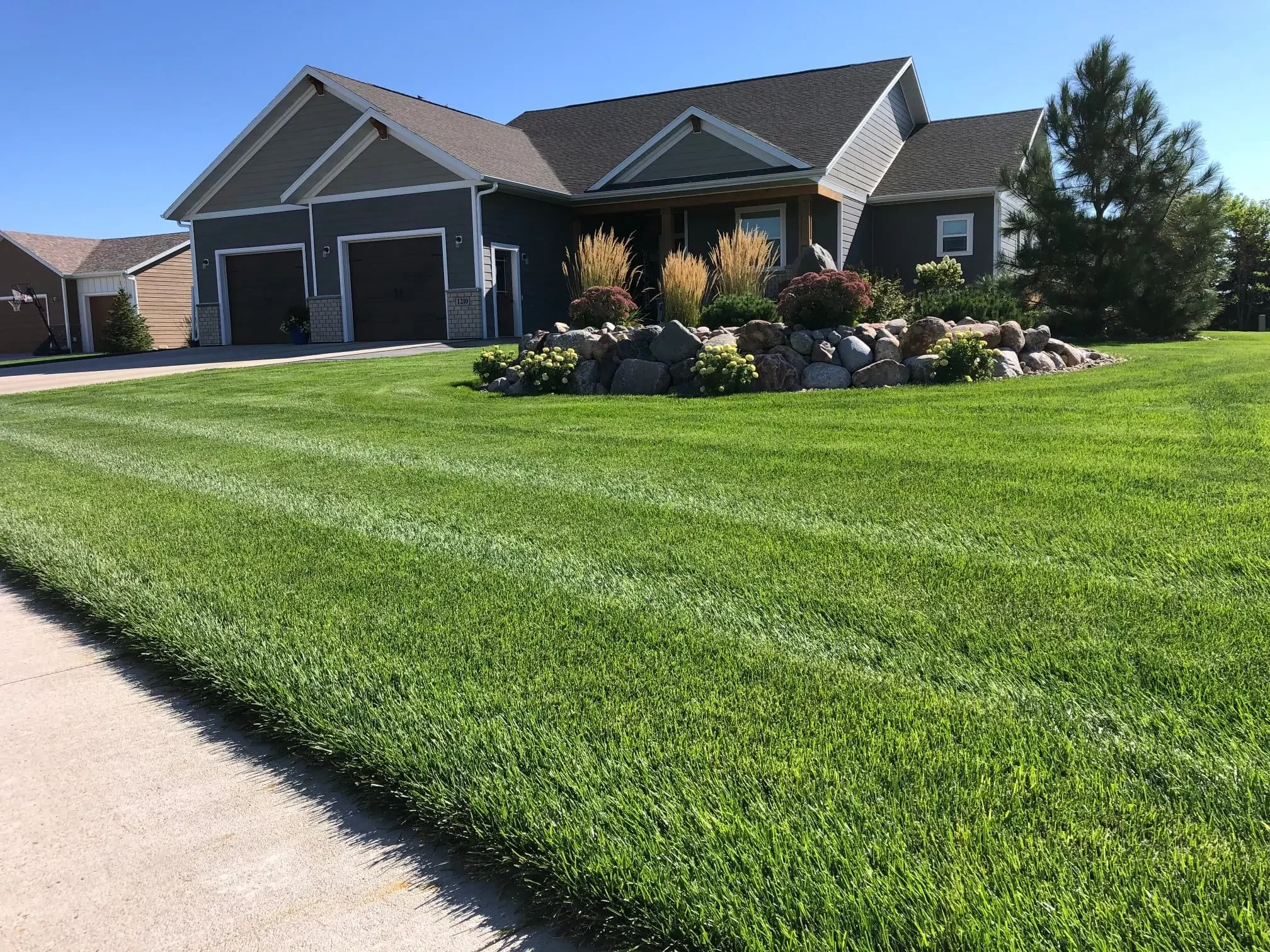 A modern suburban house with a well-maintained front lawn and landscaped garden bed with rocks and ornamental plants, under a clear blue sky.