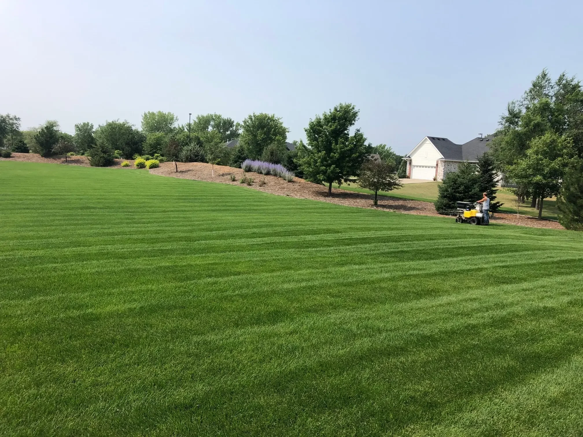 A person mowing a large, well-maintained grassy lawn with a riding mower, surrounded by trees and residential houses in the background.