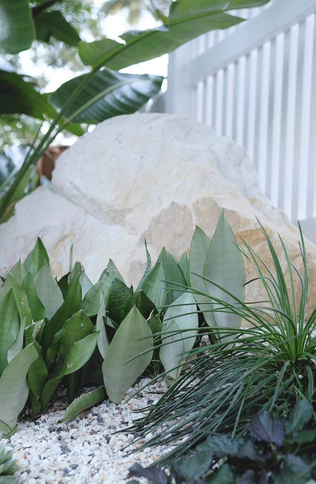 alicegardensII-12 (Ibiza Inspired Sanctuary).jpeg