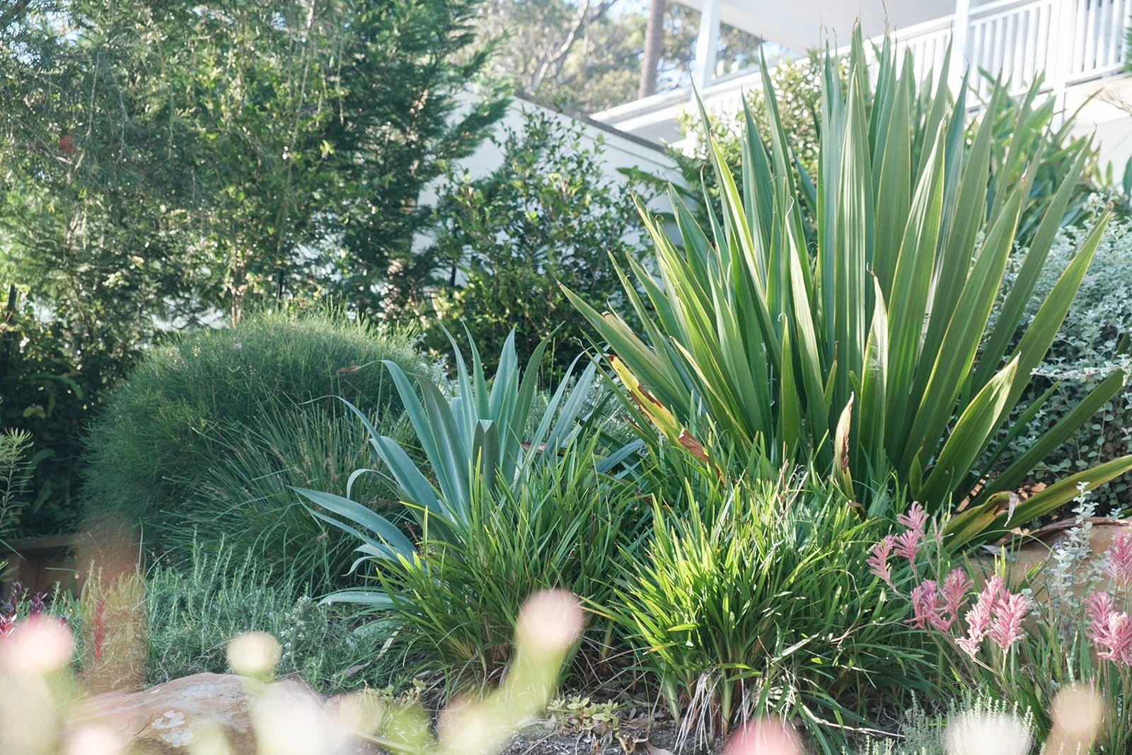 gardens-15 (Alice).jpeg