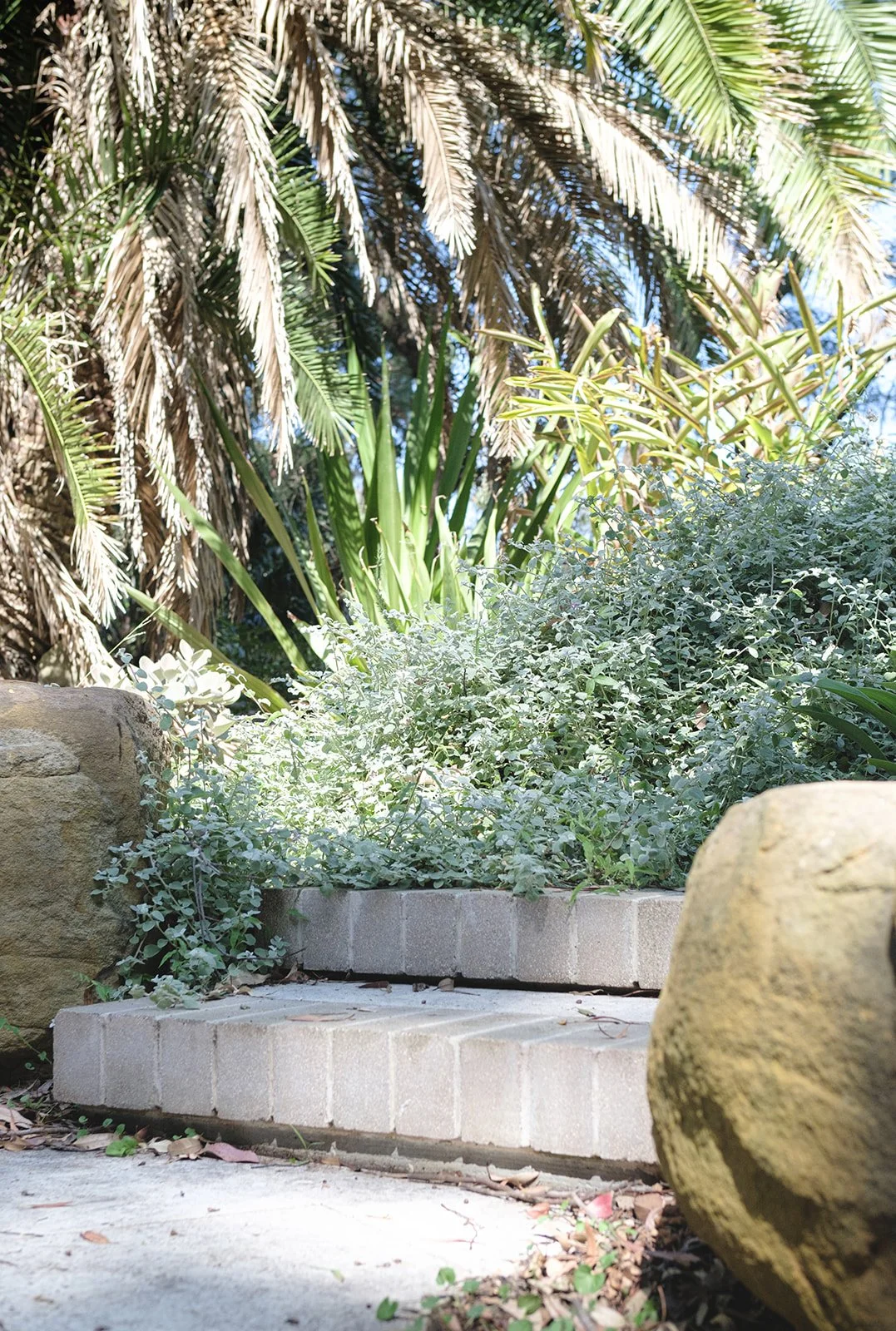alicegardensII-117 (Refined Rustic).jpeg