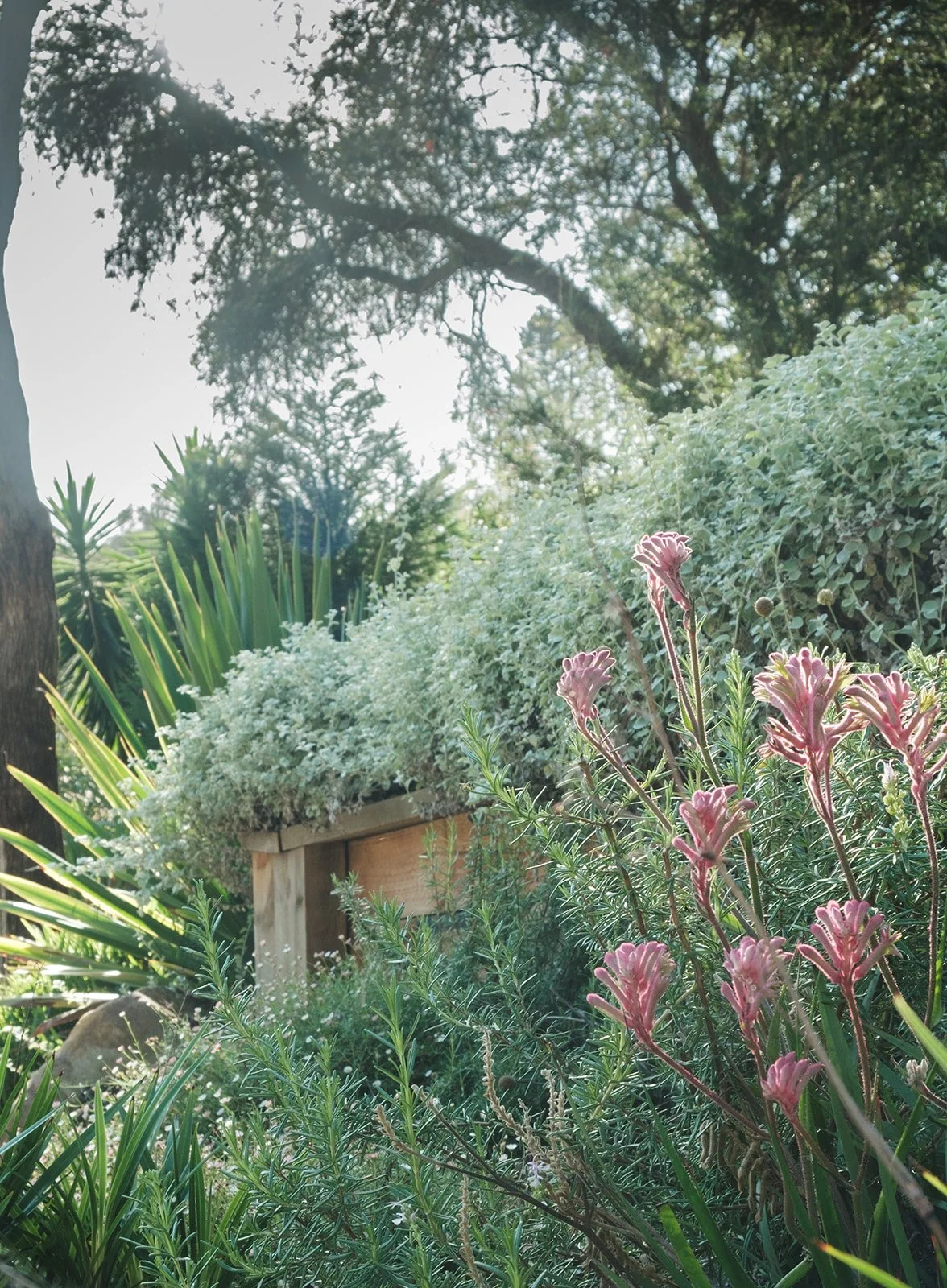 gardens-35 (Alice - Dress Circle Rd).jpeg