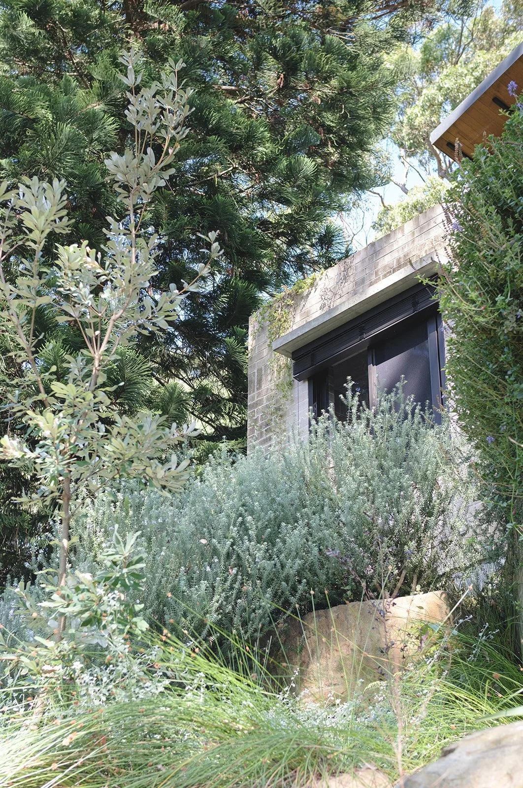 alicegardensII-75 (Refined Rustic).jpeg