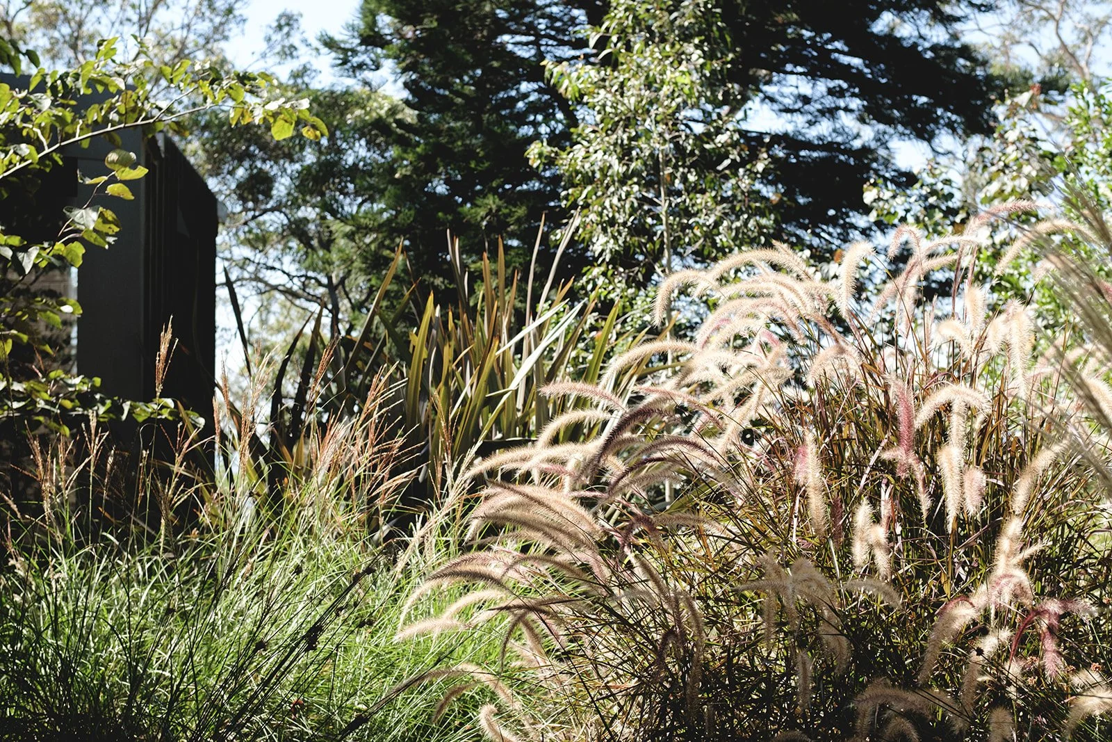 alicegardensII-116 (Refined Rustic).jpeg