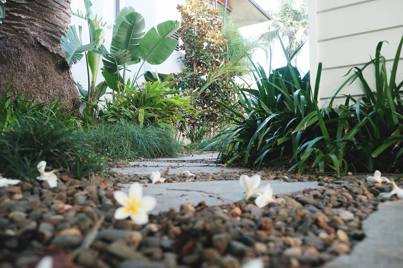 gardens-98 (Alice Iluka Rd).jpeg