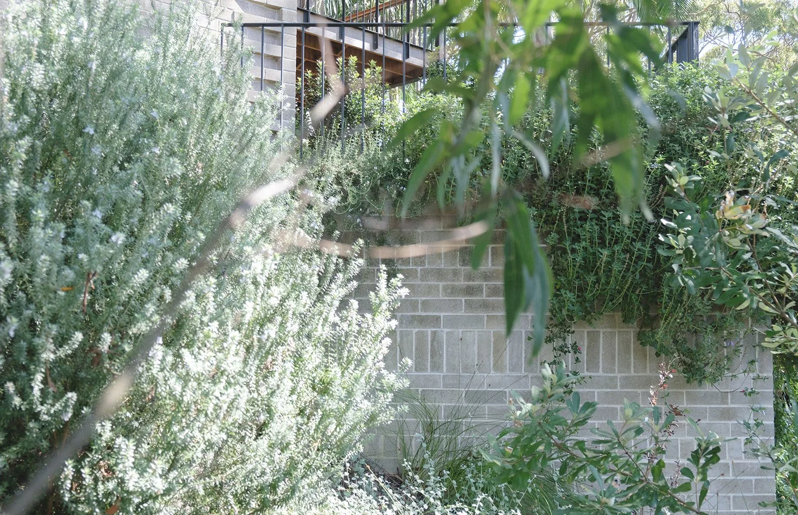 alicegardensII-128 (Refined Rustic).jpeg