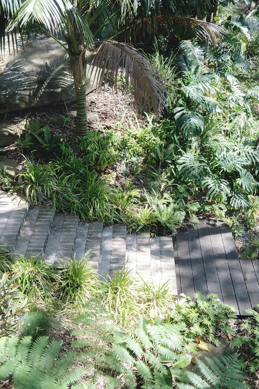 alicegardensII-144 (Refined Rustic).jpeg