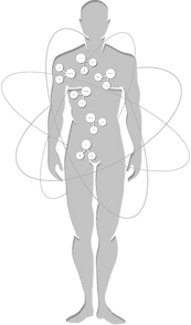 Body without VIVOBASE protection
