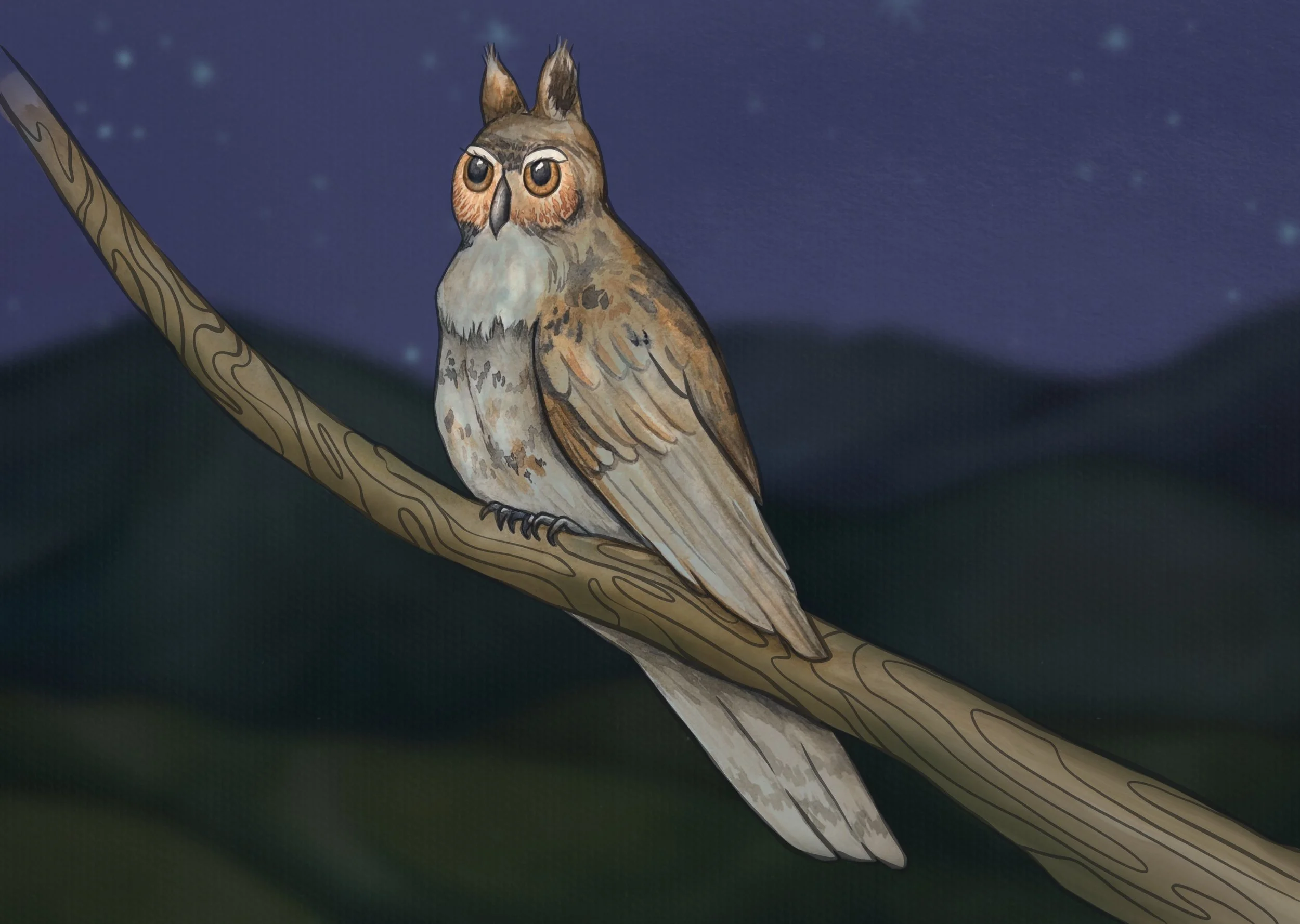 A digital illustration of an owl with eagle eyes sitting on a tree branch against a night sky with stars and mountains in the background.