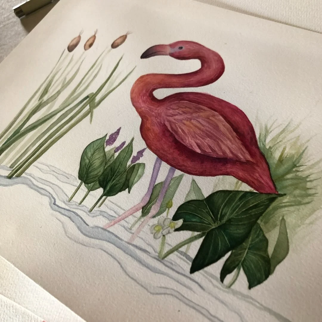 A watercolor painting of a pink flamingo standing among various green plants and cattails.