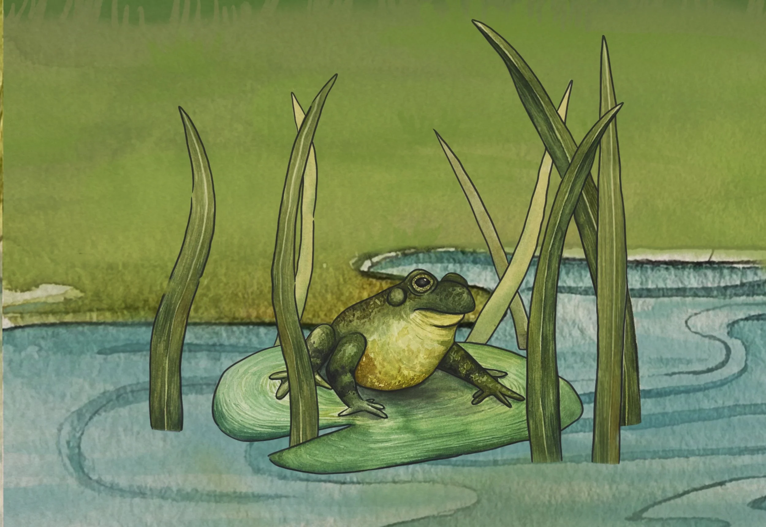 Illustration of a frog sitting on a lily pad in a pond with tall grass and lily pad leaves in the background.