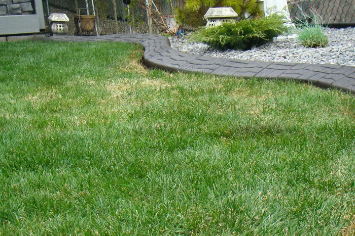 Offset bond concrete borders defining lawn edges