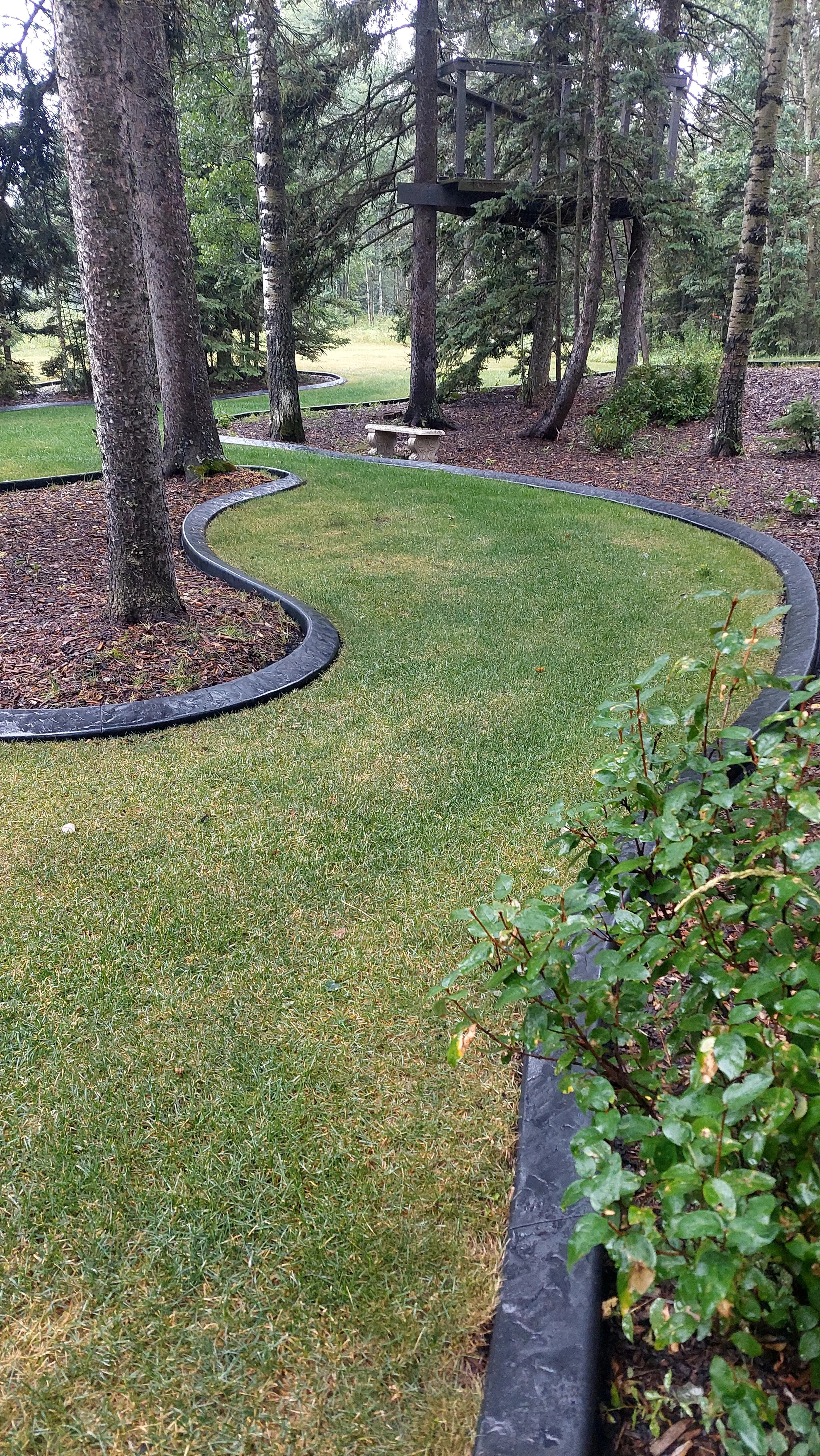 First photo of green grass area with borders between them and mulch area