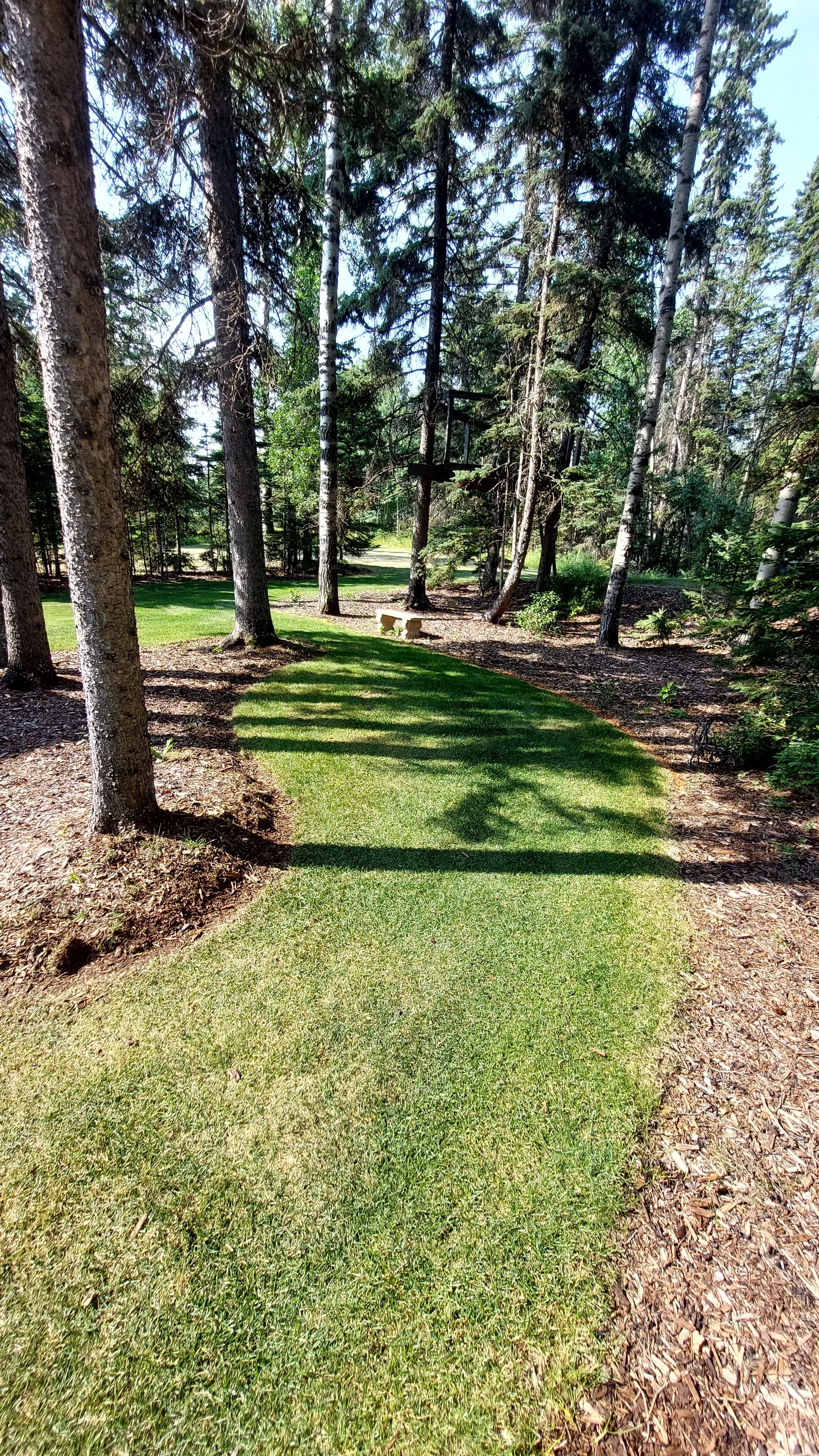 green grass between mulch tree area with no border between them