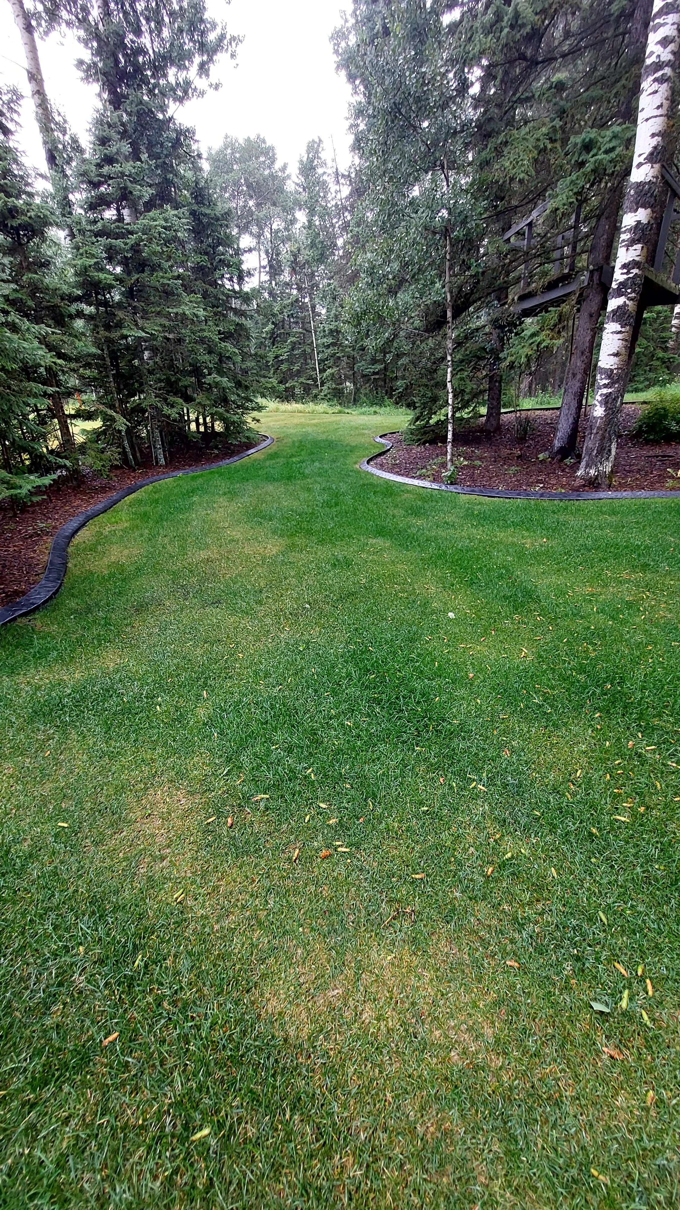 Final photo of another green area nicely separated from trees with curbing