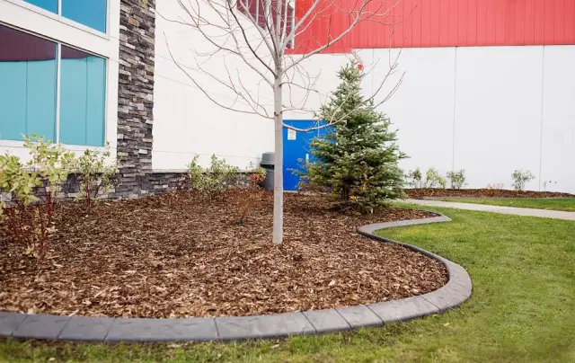Maintenance-free concrete curbing along garden beds outside of commercial building