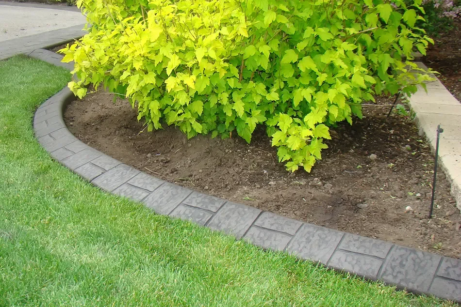 H-stamped brick maintenance free curbing surrounding tree.