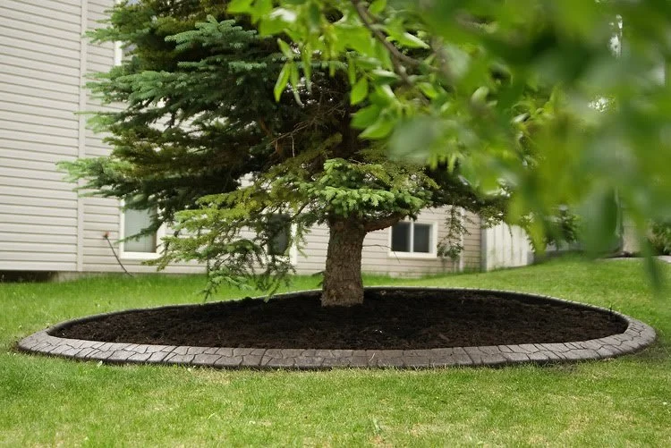 Decorative concrete curbing with clean lines