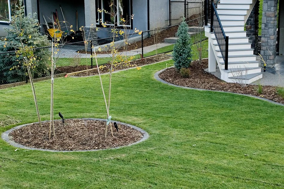 Decorative herringbone curbing creating tidy garden edges in backyard
