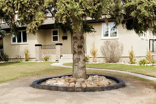 Decorative Belgian block concrete edging framing rock garden around mature tree