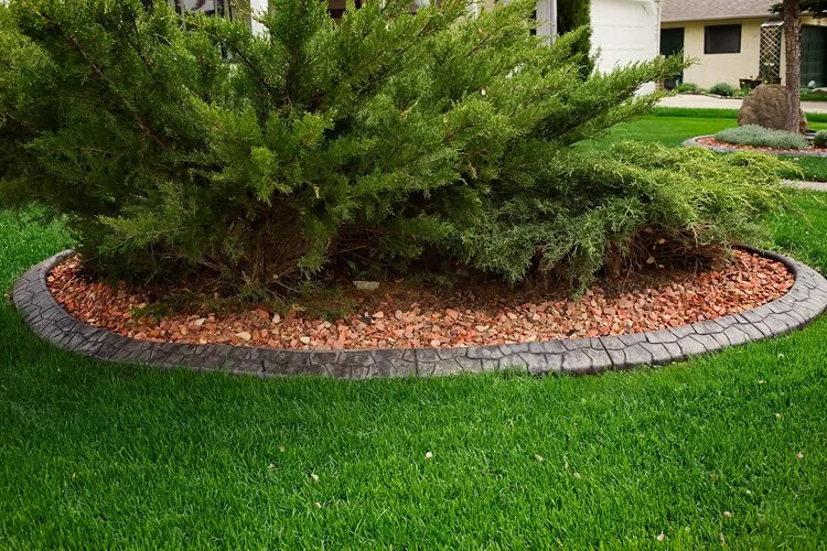 style concrete curbing shaping a residential garden bed