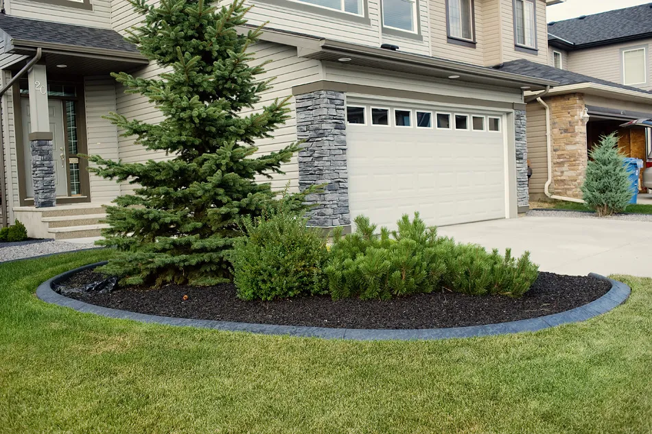 Slate style concrete curbing shaping a residential front tree bed