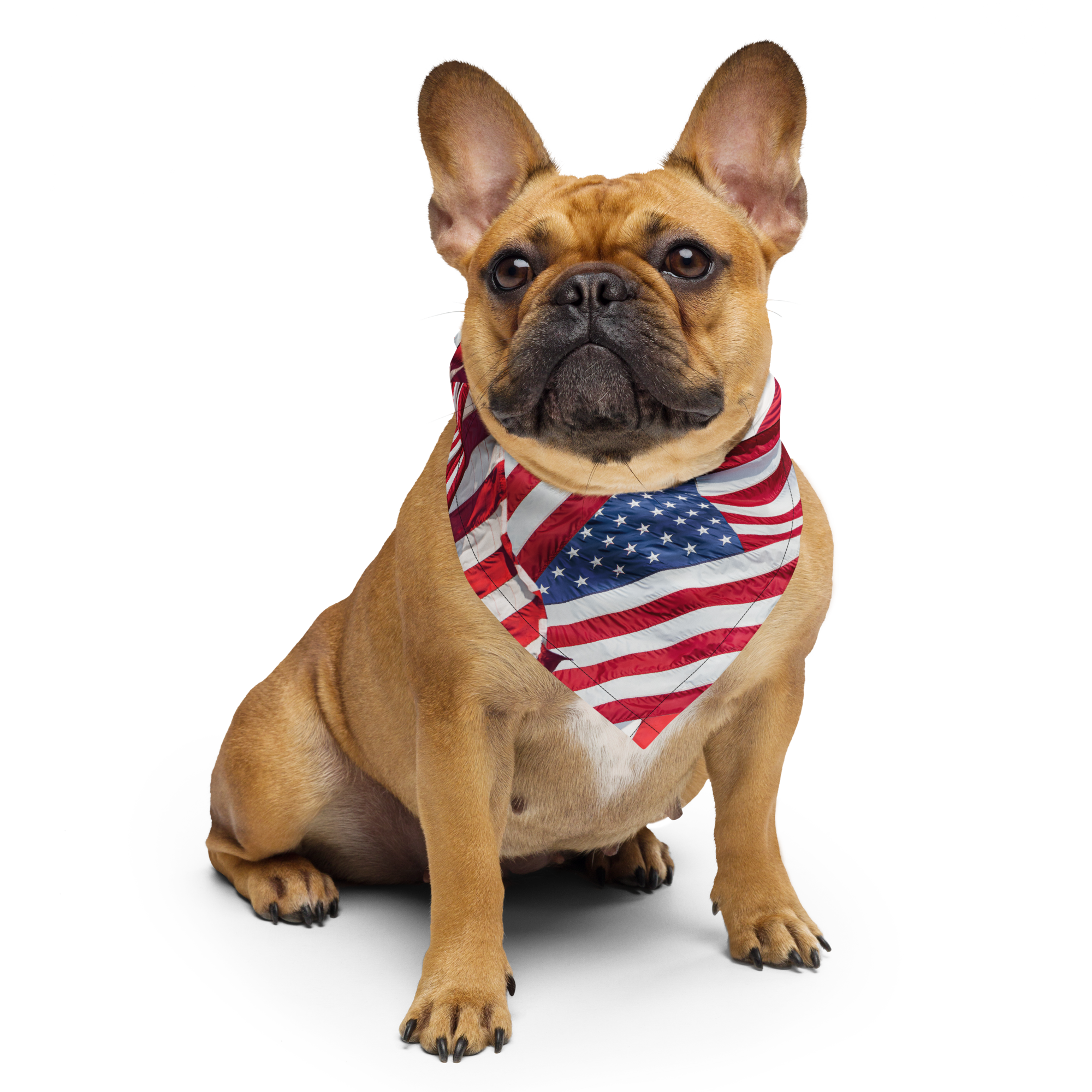 all-over-print-bandana-white-s-front-6a13867b1df81.png