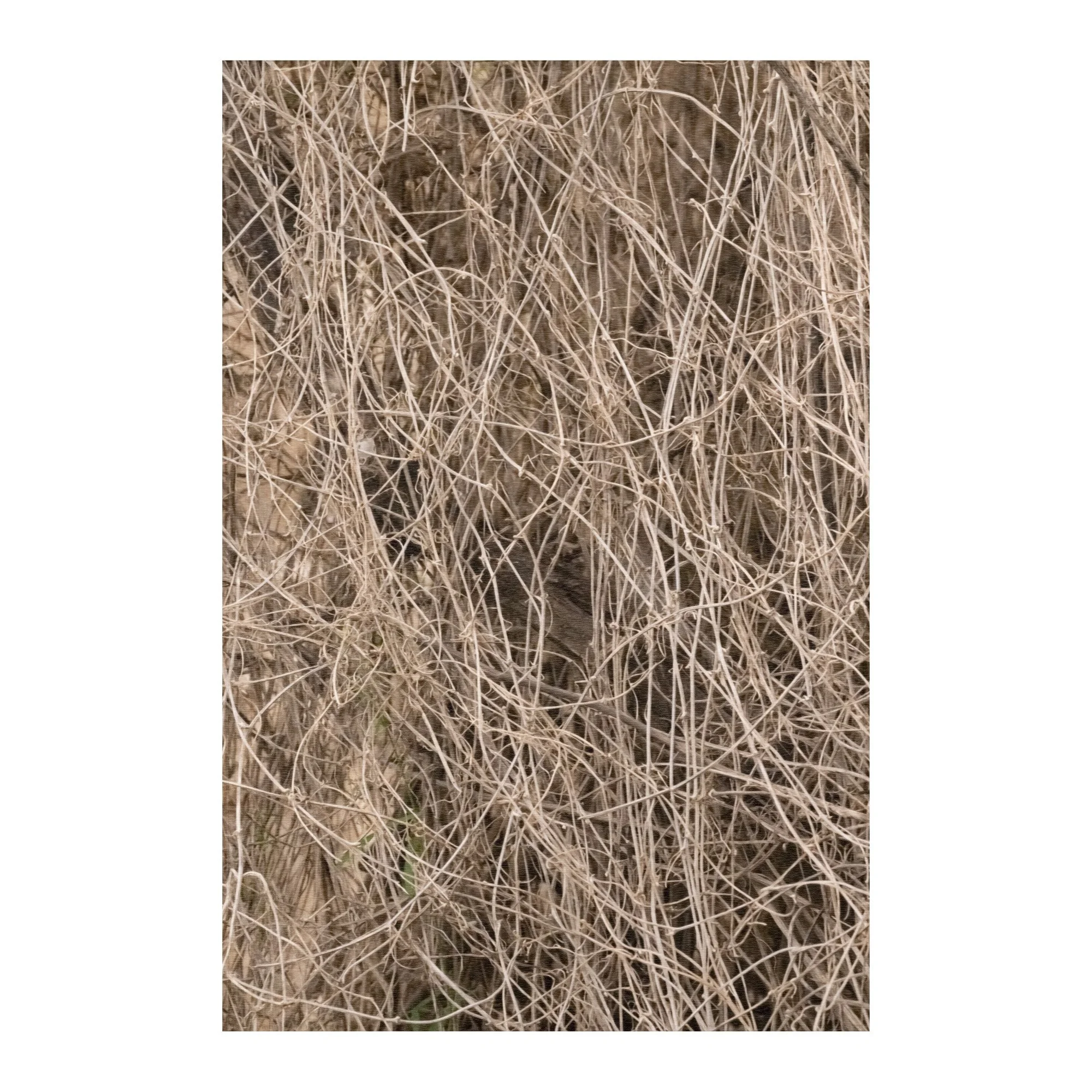 Natural Haven Area Rug