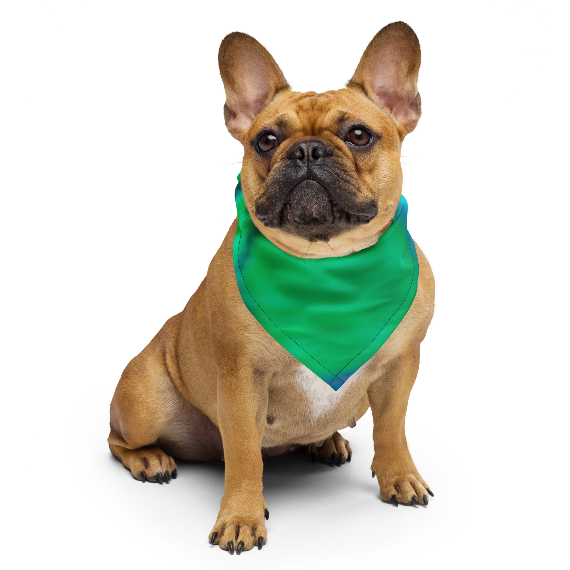 all-over-print-bandana-white-s-front-69fcd4855a7d7.png