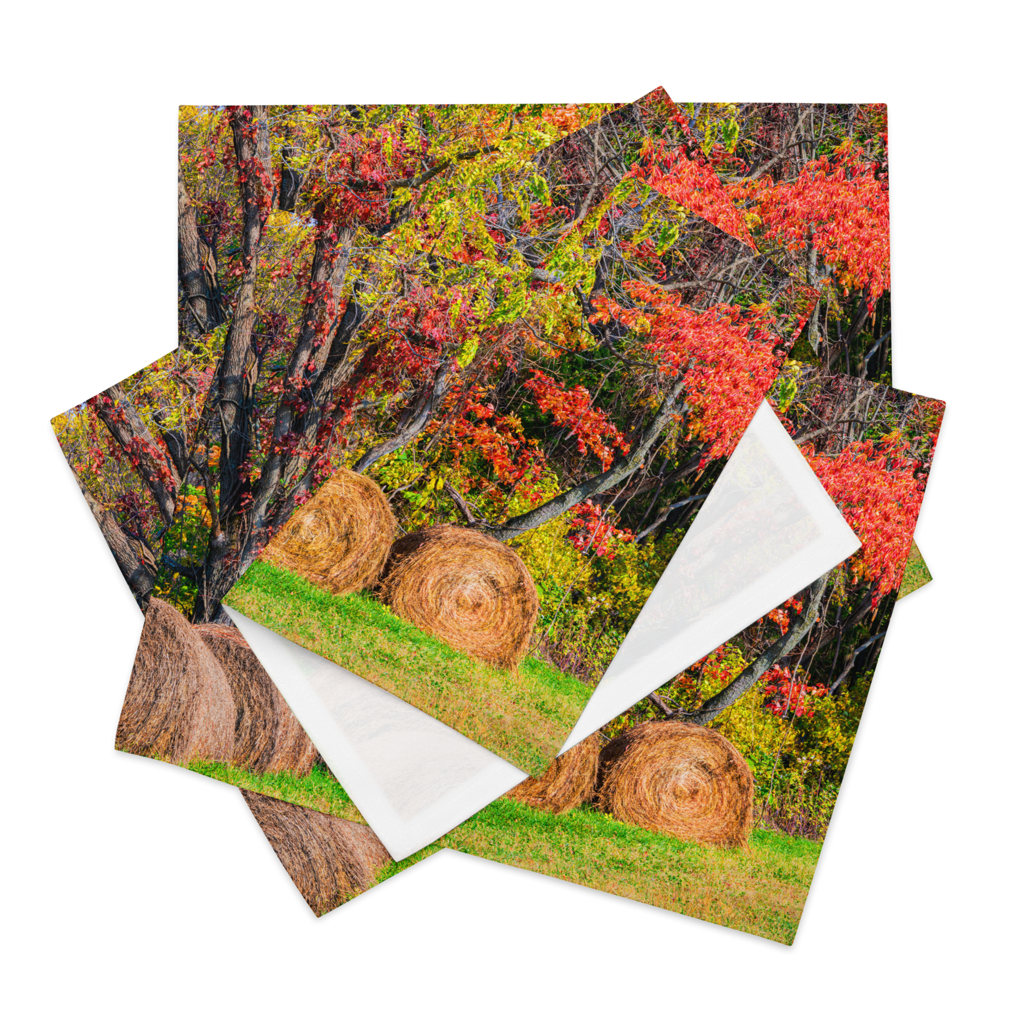 placemat-set-(4)-white-front-6a137d05869fc.png