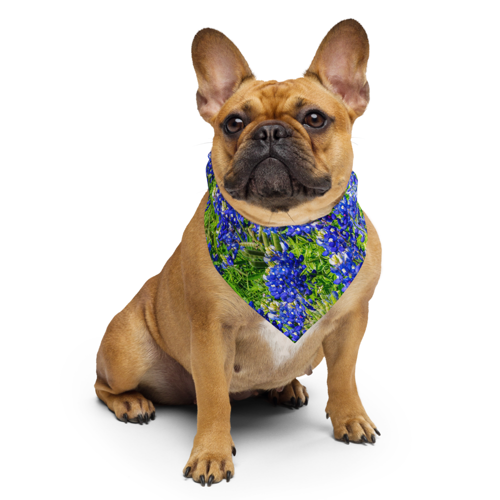 all-over-print-bandana-white-s-front-69fcc3fac15f4.png