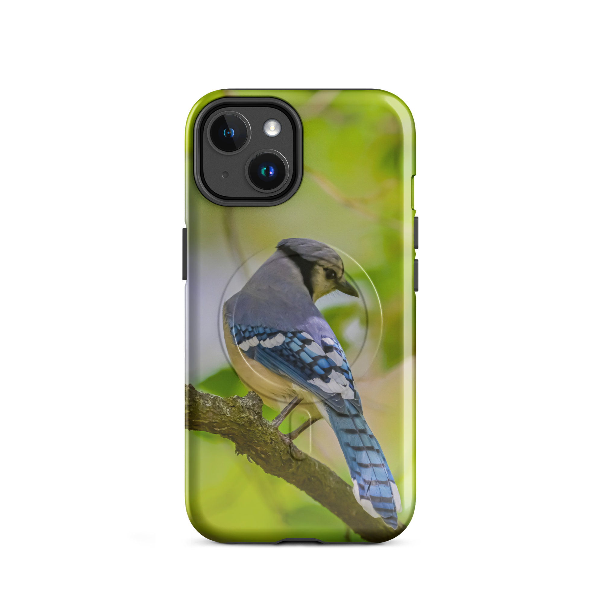 Blue Jay iPhone Case