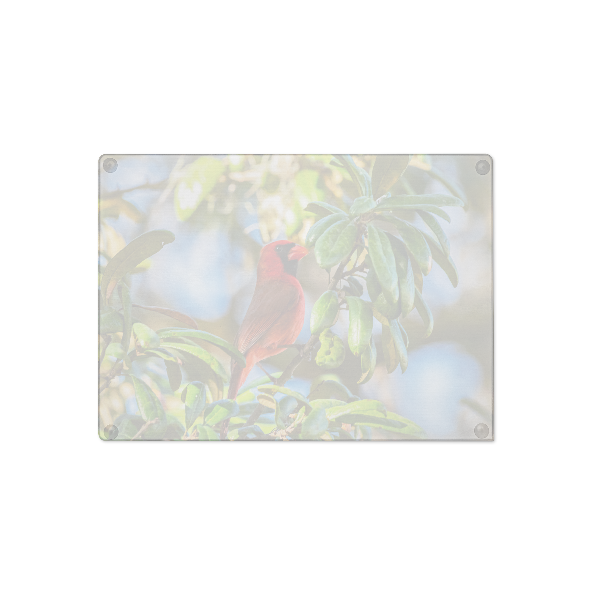 glass-cutting-board-rectangle-8x11-back-6a052f0484f0c.png