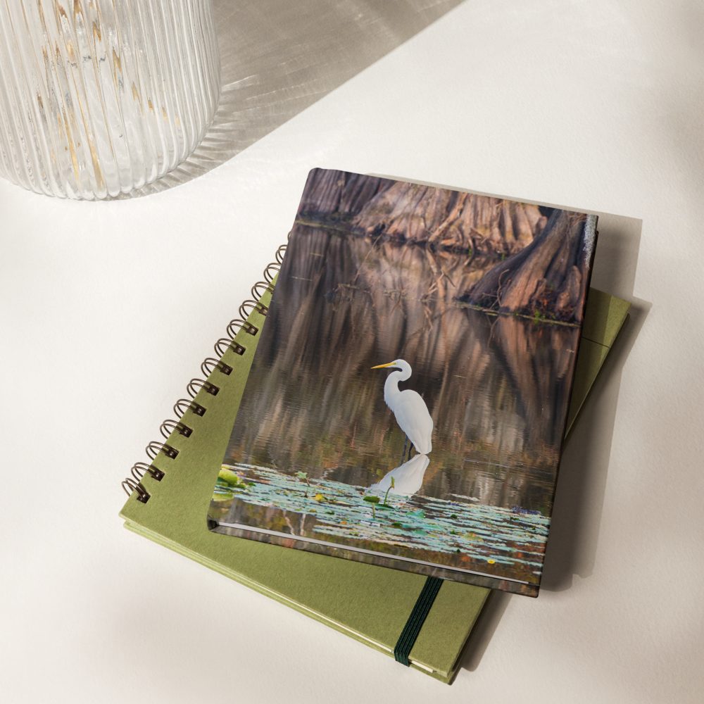 hardcover-journal-matte-white-8x5.75-front-69f69df03a57a.png
