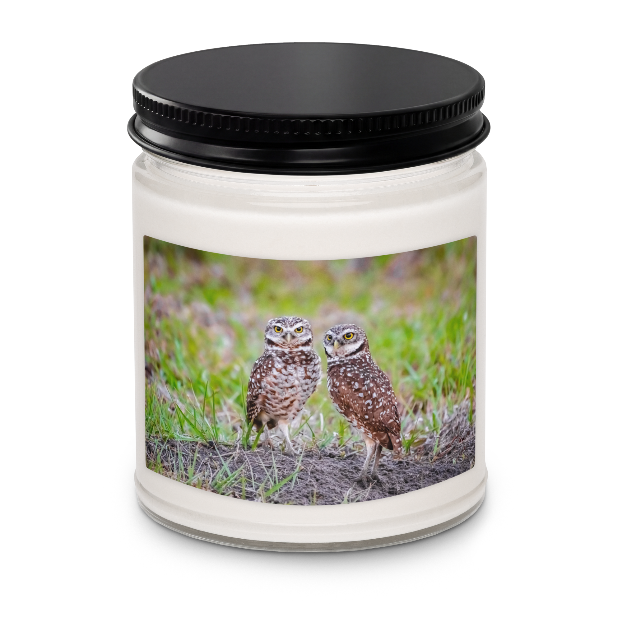 scented-soy-candle,-9oz-clean-cotton-front-69c3436a9c169.png