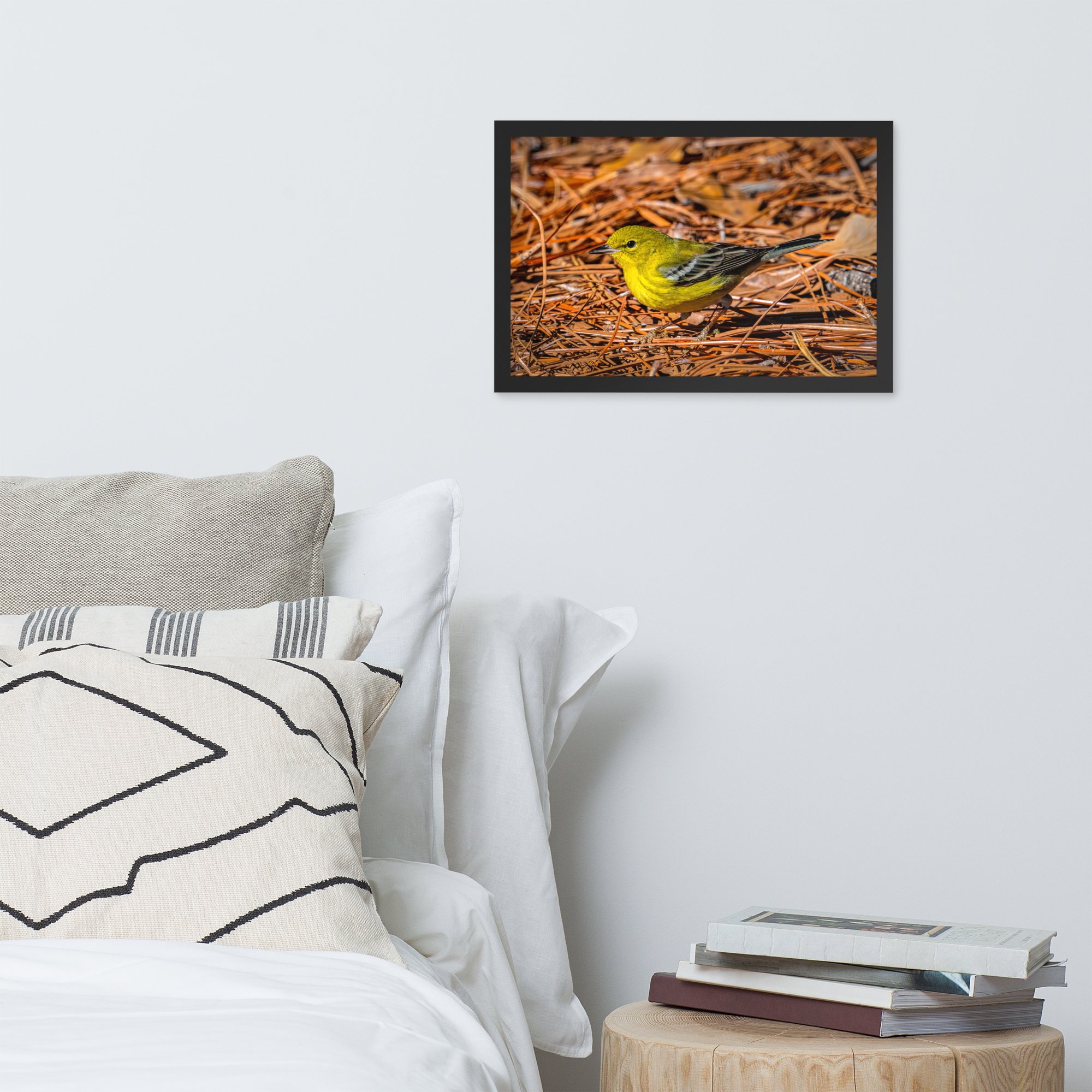 Framed Pine Warbler Photo Print