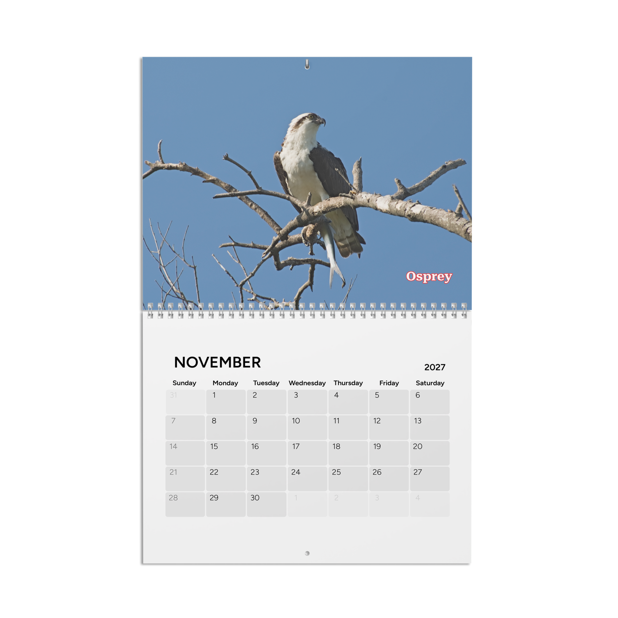 calendar-(2027)-10.8x8.4-front-6aab5600b539e.png