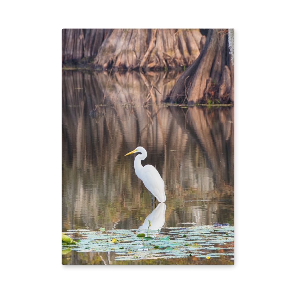 hardcover-journal-matte-white-8x5.75-front-69f69df03a1f2.png
