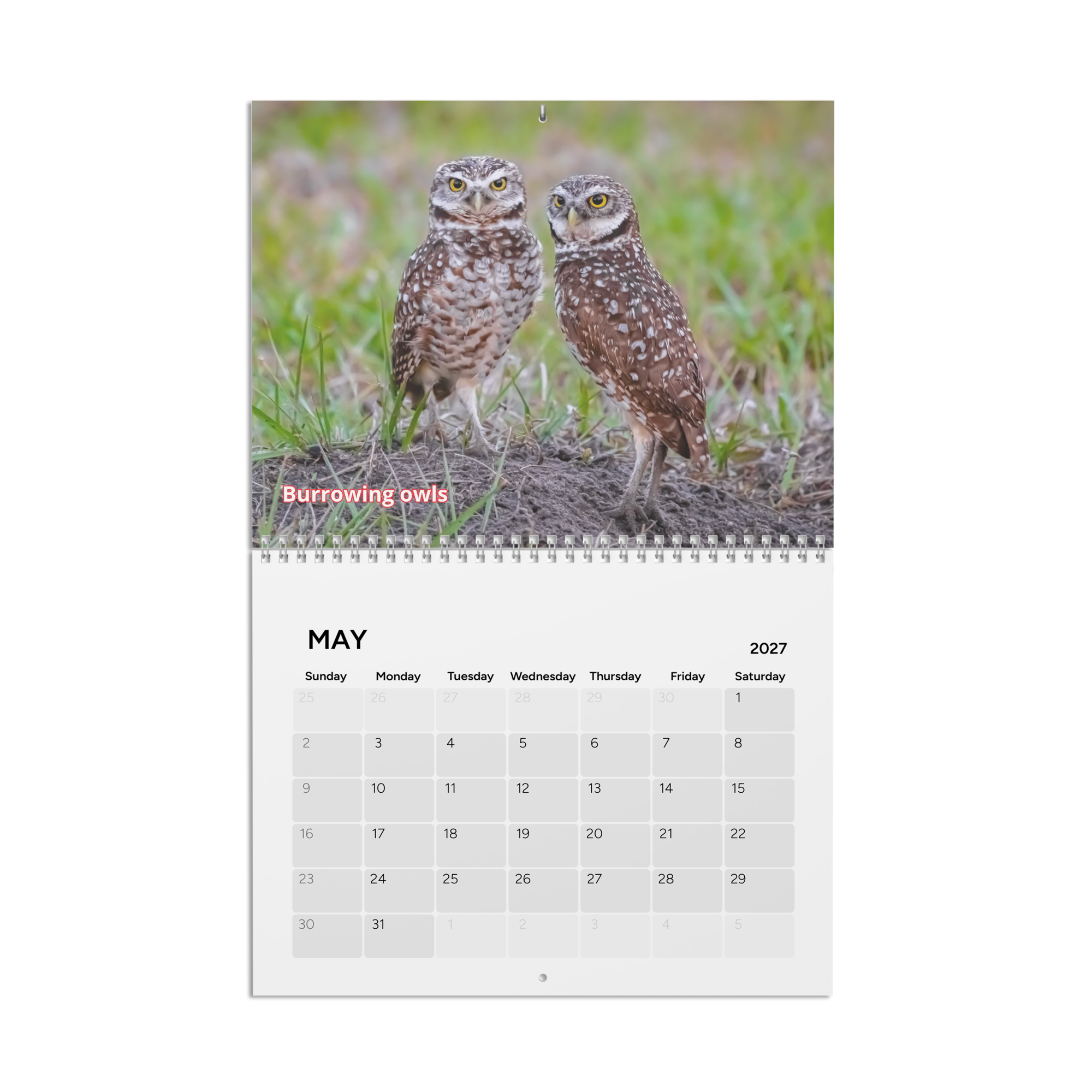 calendar-(2027)-10.8x8.4-front-6aab5600b3f49.png