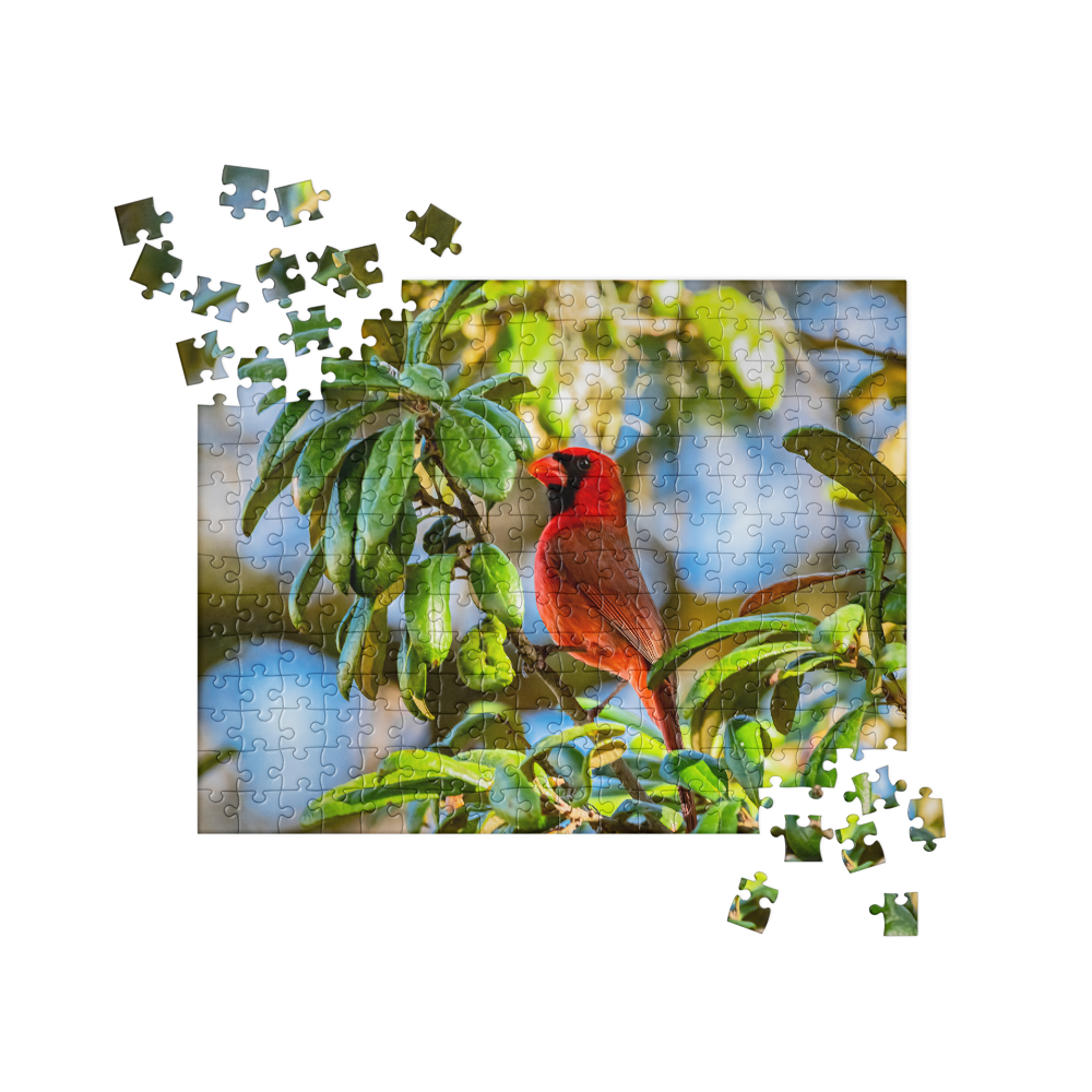 jigsaw-puzzle-252-pieces-front-6a07bbdb626ff.png