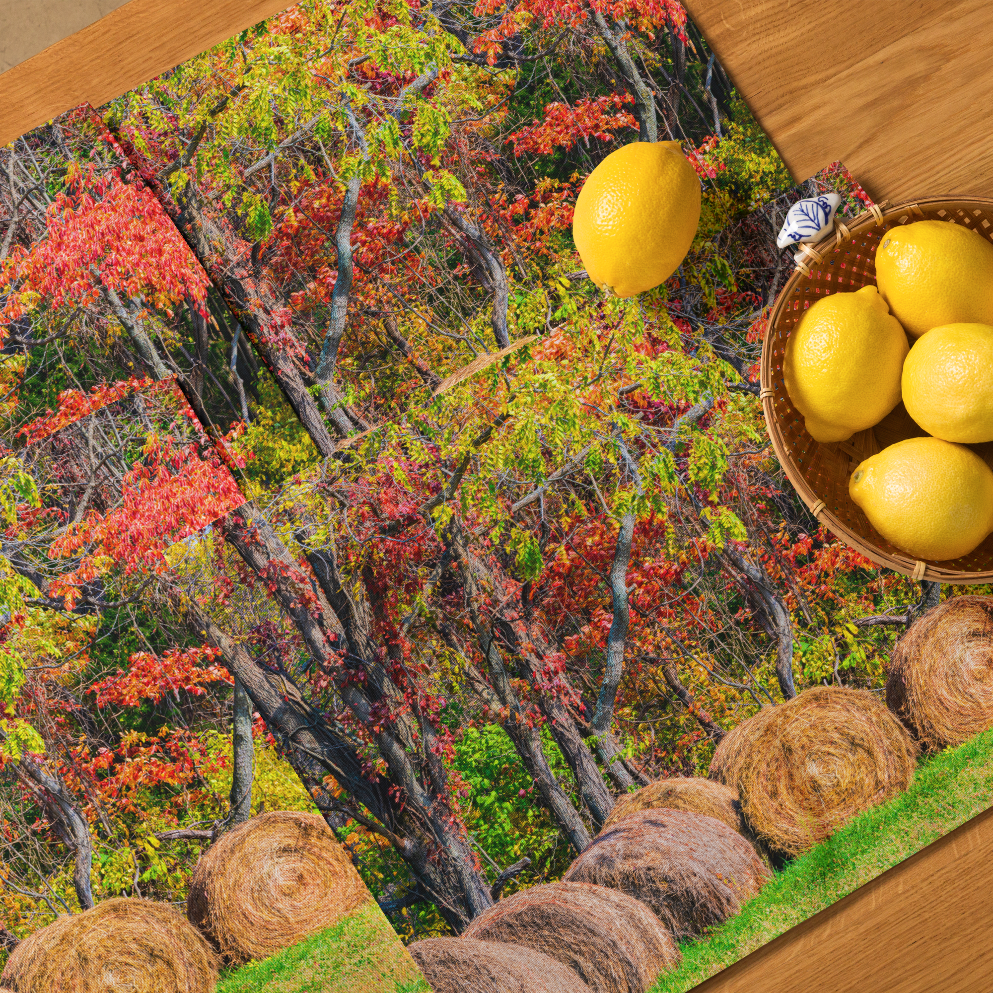 placemat-set-(4)-white-front-6a137d0586f24.png