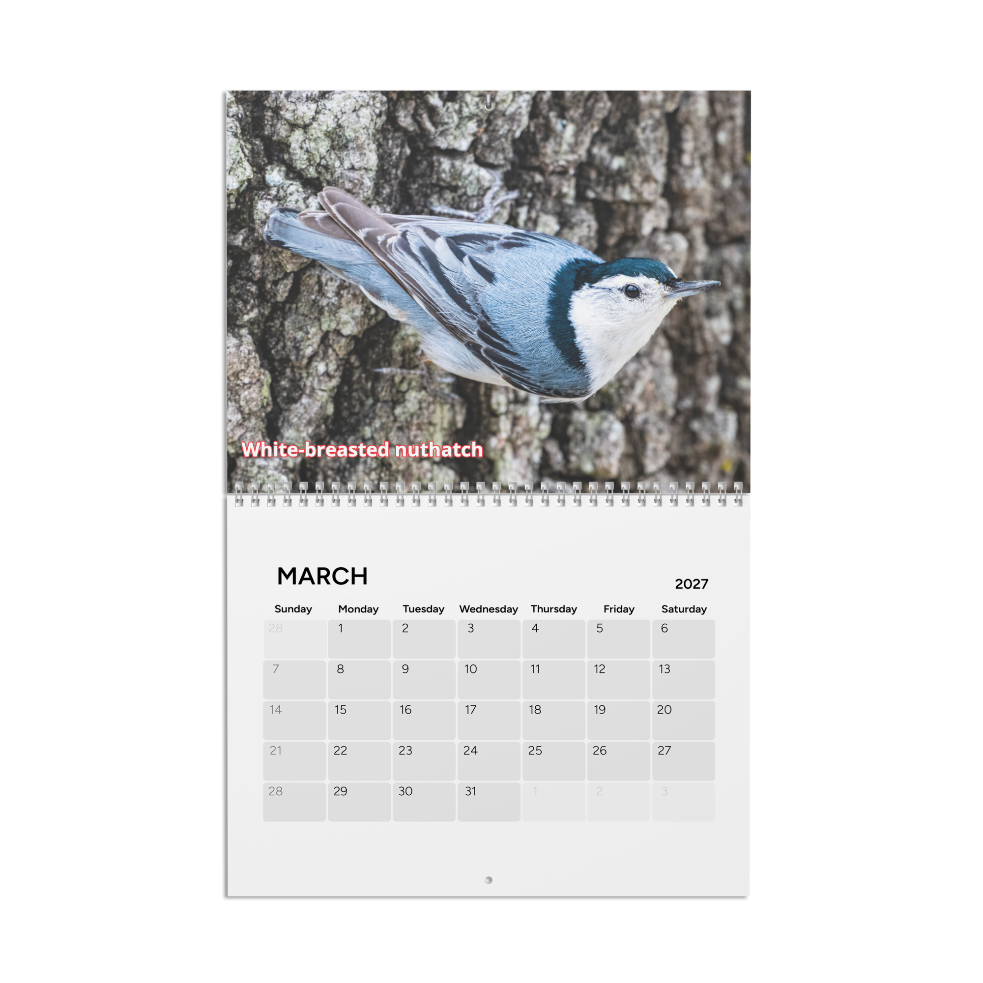 calendar-(2027)-10.8x8.4-front-6aab5600b37d9.png