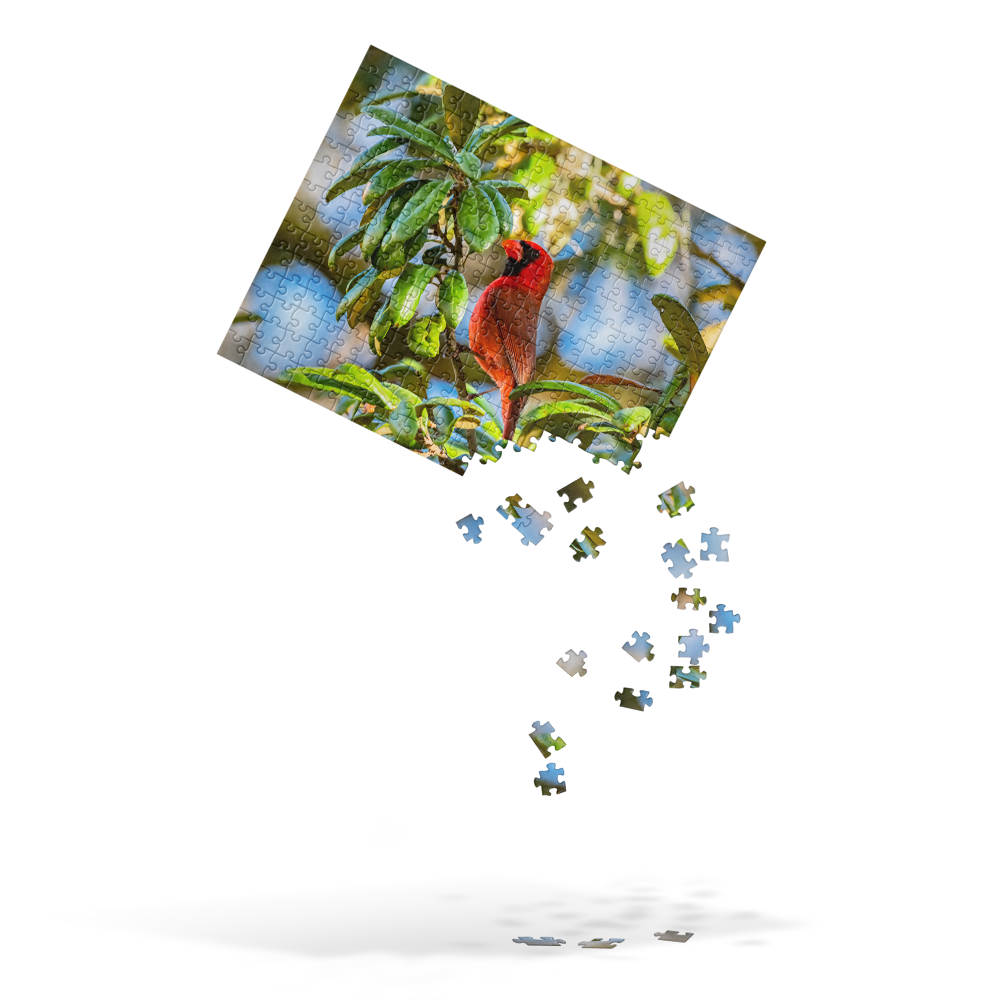 jigsaw-puzzle-252-pieces-front-6a07bbdb626a2.png