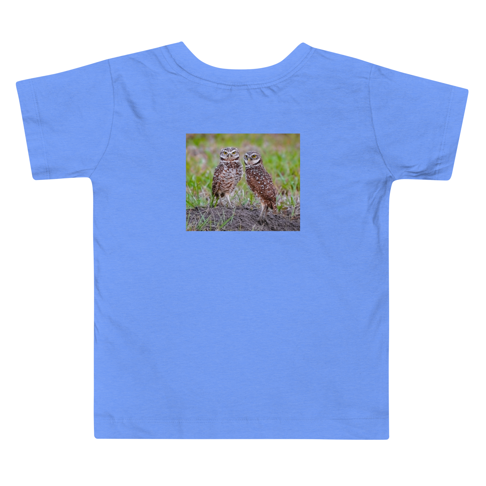 toddler-staple-tee-heather-columbia-blue-back-6a262249d16d0.png