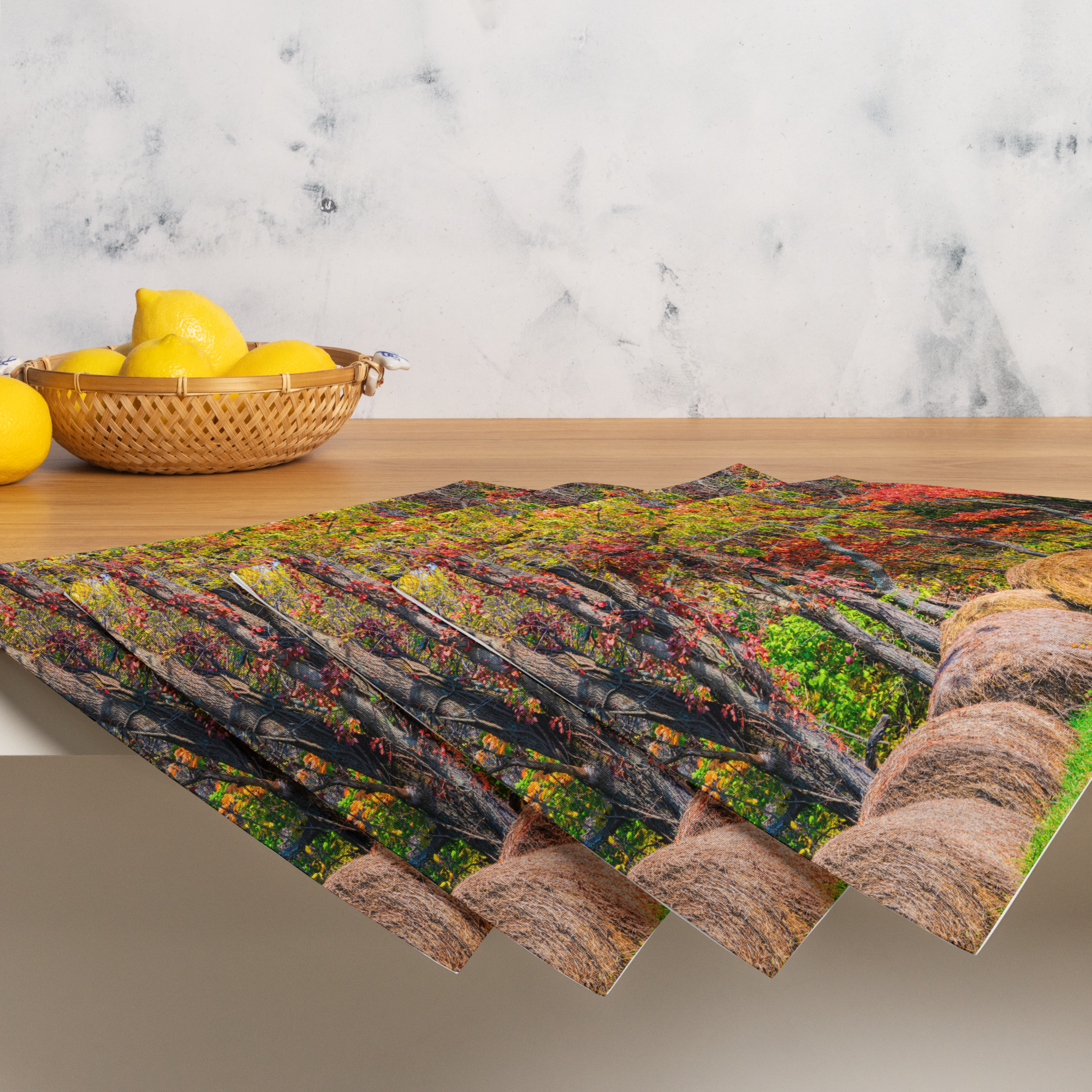 placemat-set-(4)-white-front-6a137d058719a.png