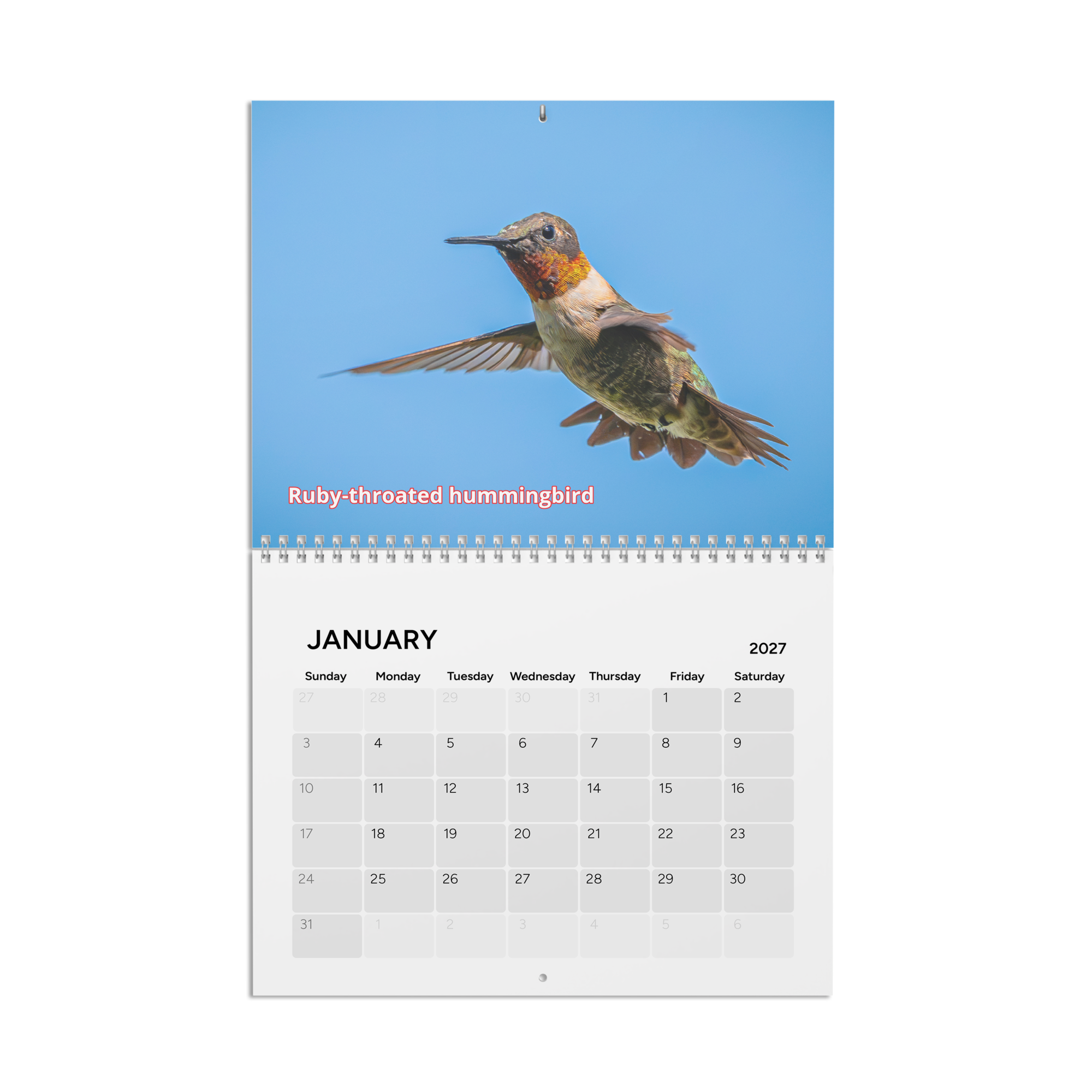calendar-(2027)-10.8x8.4-front-6aab5600b300a.png