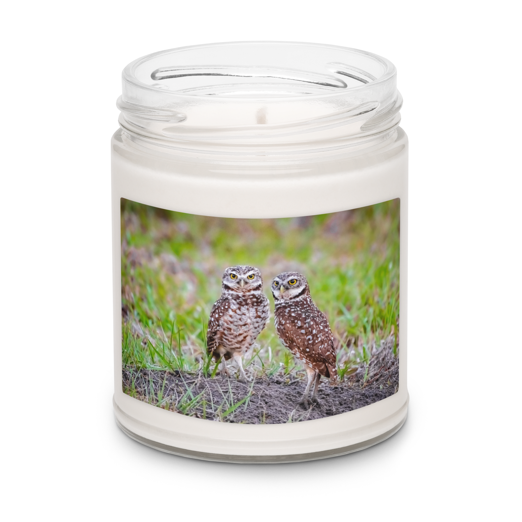 scented-soy-candle,-9oz-clean-cotton-front-2-69c3436a9c57c.png