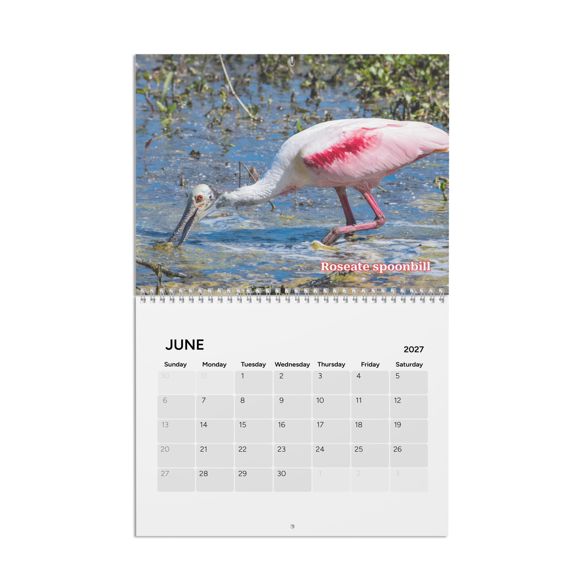calendar-(2027)-10.8x8.4-front-6aab5600b42e5.png